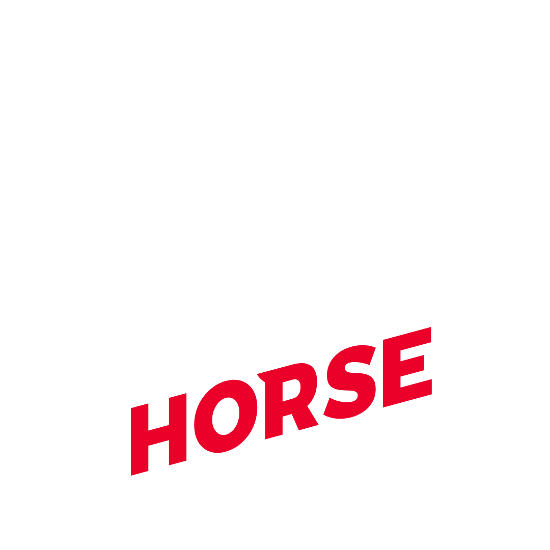 Flying Horse